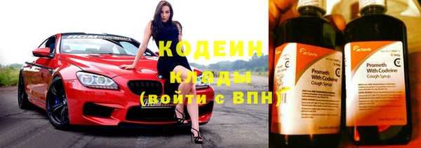 твердый Ельня
