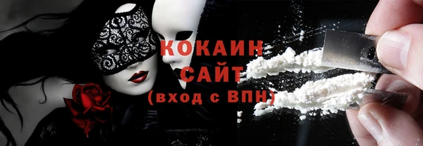 твердый Ельня