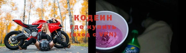 твердый Ельня