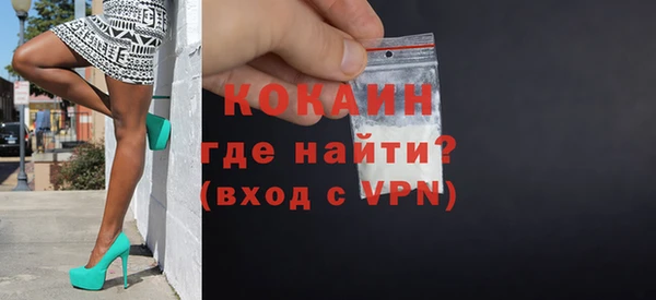 твердый Ельня