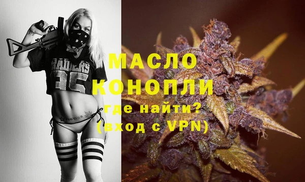 твердый Ельня