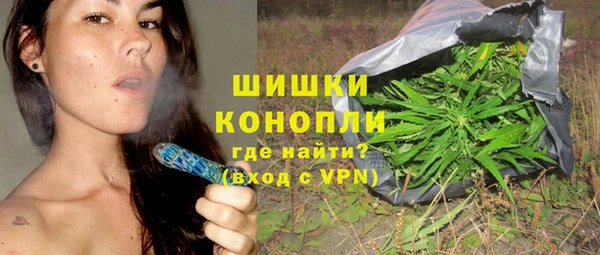 твердый Ельня