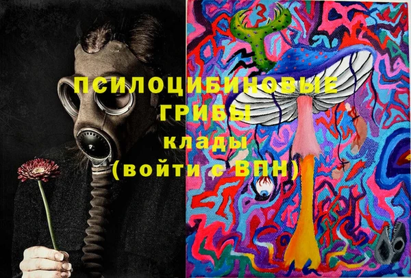 твердый Ельня