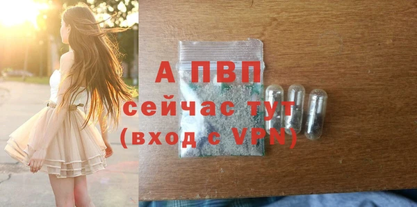 твердый Ельня