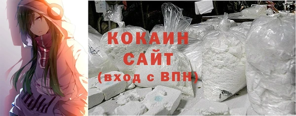 твердый Ельня