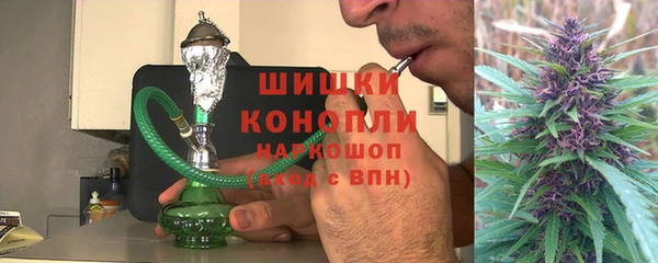 твердый Ельня